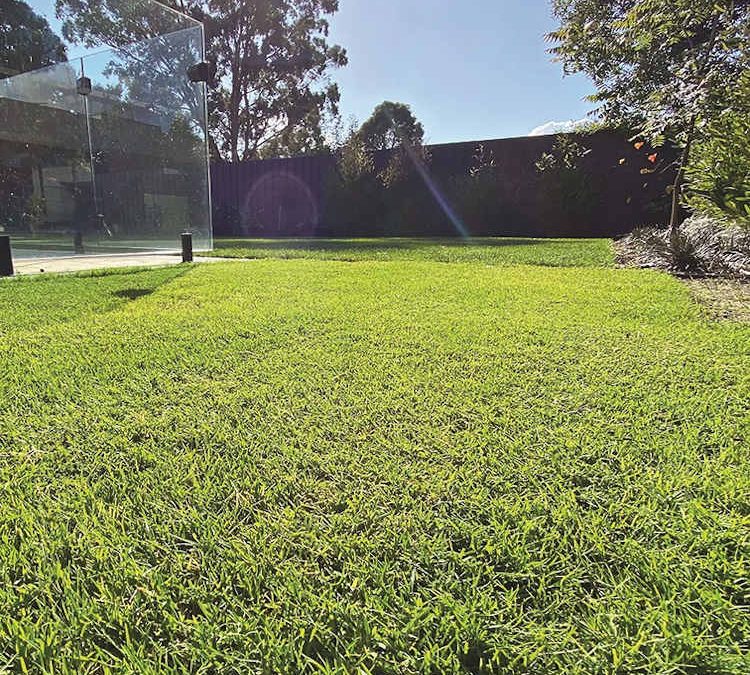 Premium Supply-Only Turf Solutions for Landscapers & Large Projects