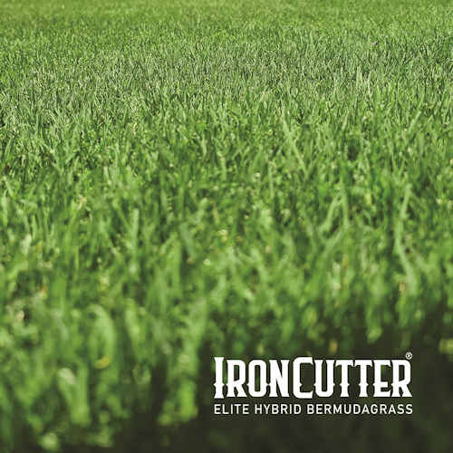 Iron Cutter Elite Bermuda Turf