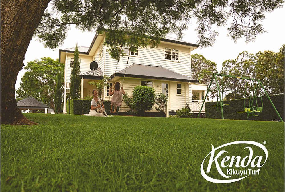 Turf Review – Kenda Kikuyu