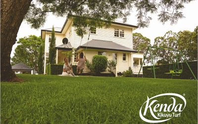 Turf Review – Kenda Kikuyu