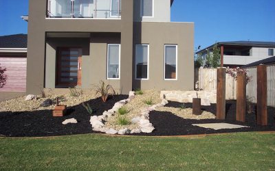 Choosing the Right Buffalo Turf for Your Melbourne Home
