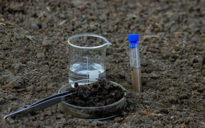The Pre-Lay Checklist: Soil Testing and Preparation Requirements for Commercial Turf Success in Victoria