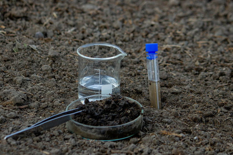 The Pre-Lay Checklist: Soil Testing and Preparation Requirements for Commercial Turf Success in Victoria