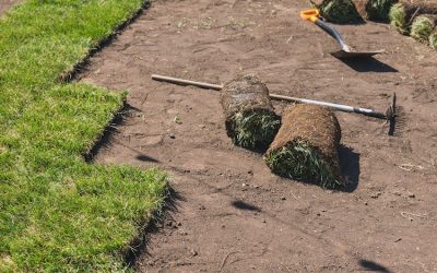 When is the Best Time to Lay Turf in Melbourne?