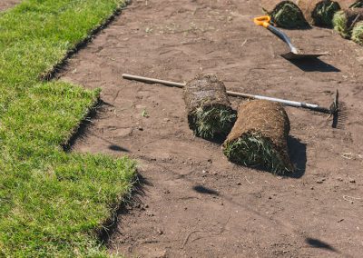 Commercial Turf