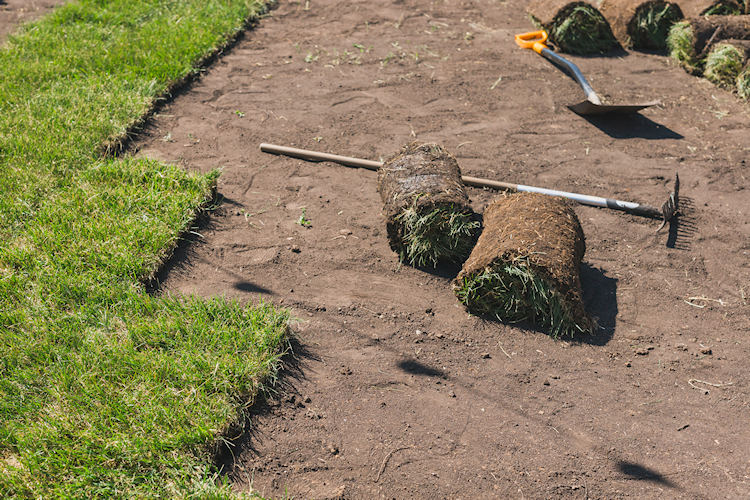 Commercial Turf2 Commercial Turf