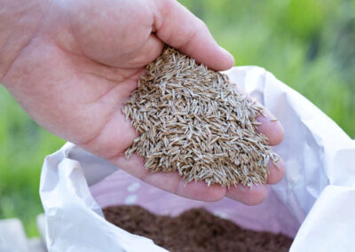 Turf Supply Cost vs. Seed Cost