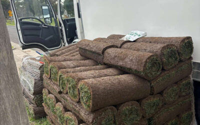 Turf Supply Cost vs. Seed Cost: Which Option Guarantees Timeline and Budget Control for Commercial Jobs?
