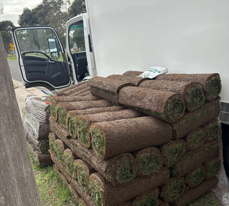 Turf Supply Cost vs. Seed Cost: Which Option Guarantees Timeline and Budget Control for Commercial Jobs?