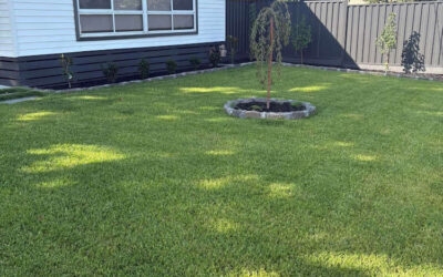 Are you planning to install it yourself? A Complete Guide to DIY Instant Turf in Melbourne