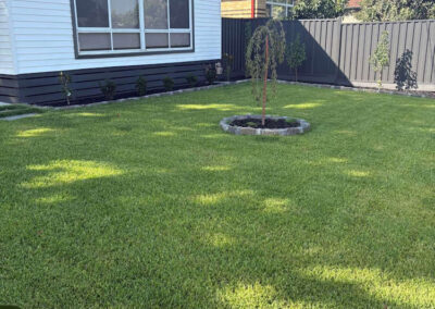 Turf Supply Cost vs. Seed Cost