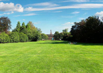 Turf Supply Cost vs. Seed Cost