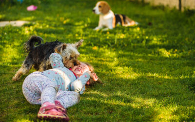 Do You Have Pets or Kids Using The Lawn?