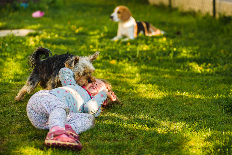 Do You Have Pets or Kids Using The Lawn?