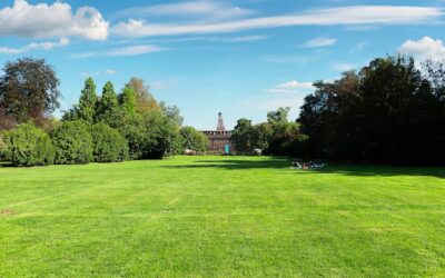 Choosing the Right Root Structure Turf Varieties for High-Traffic Melbourne Public Spaces